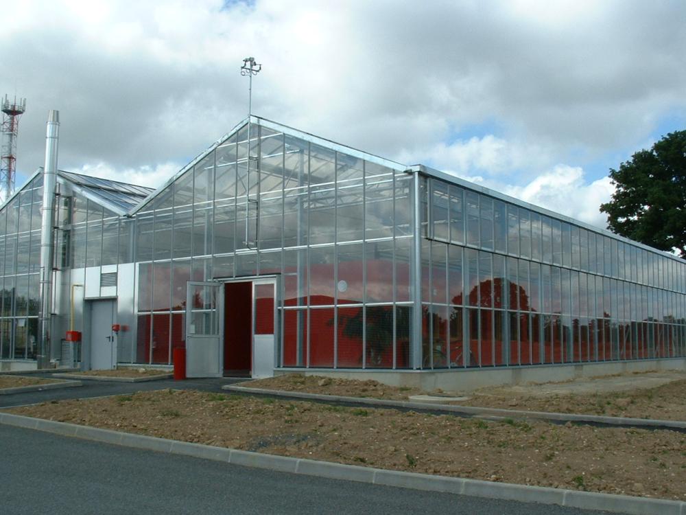 Serre près de Angers