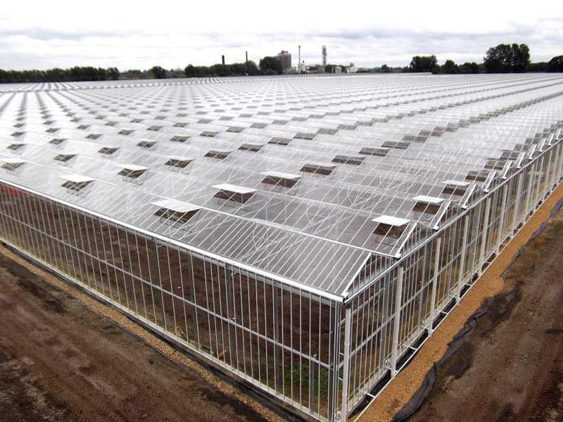 Serre horticole près de Angers